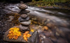 Desktop wallpaper. Nature. ID:67273
