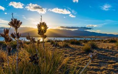 Desktop wallpaper. Nature. ID:67279