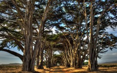 Desktop wallpaper. Nature. ID:67282