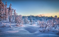 Desktop wallpaper. Nature. ID:67283
