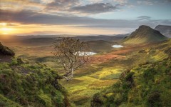 Desktop wallpaper. Nature. ID:67297