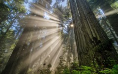 Desktop wallpaper. Nature. ID:67298