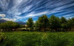 Desktop wallpaper. Nature. ID:67300