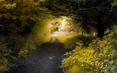 Desktop wallpaper. Nature. ID:67301