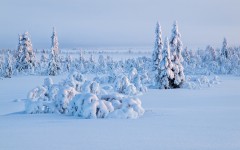 Desktop wallpaper. Nature. ID:67305