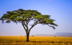 Desktop wallpaper. Nature. ID:67307