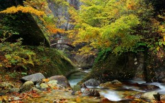 Desktop wallpaper. Nature. ID:67310