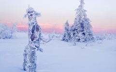 Desktop wallpaper. Nature. ID:67321