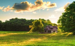 Desktop wallpaper. Nature. ID:67324