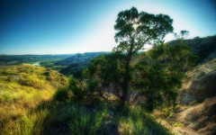 Desktop wallpaper. Nature. ID:67330