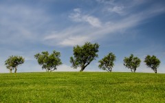 Desktop wallpaper. Nature. ID:67337