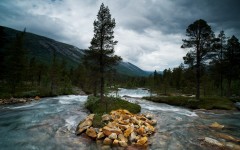 Desktop wallpaper. Nature. ID:67340