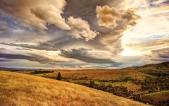 Desktop wallpaper. Nature. ID:67344