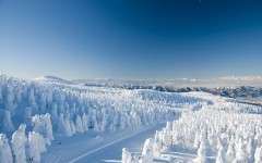 Desktop wallpaper. Nature. ID:67347