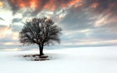 Desktop wallpaper. Nature. ID:67349