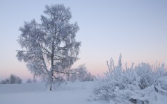 Desktop wallpaper. Nature. ID:67350