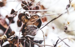 Desktop wallpaper. Nature. ID:67351
