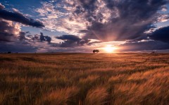 Desktop wallpaper. Nature. ID:67354