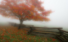 Desktop wallpaper. Nature. ID:67356