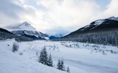 Desktop wallpaper. Nature. ID:67358