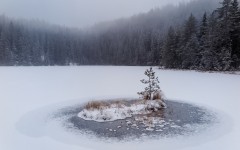 Desktop wallpaper. Nature. ID:67360