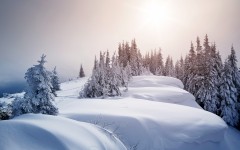 Desktop wallpaper. Nature. ID:67364