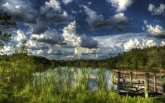 Desktop wallpaper. Nature. ID:67369