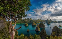 Desktop wallpaper. Nature. ID:67372