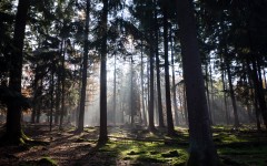 Desktop wallpaper. Nature. ID:67373