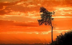 Desktop wallpaper. Nature. ID:67375