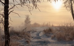 Desktop wallpaper. Nature. ID:67378