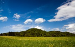 Desktop wallpaper. Nature. ID:67379