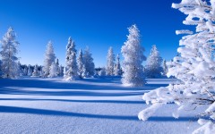 Desktop wallpaper. Nature. ID:67380