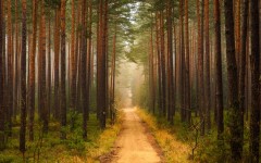 Desktop wallpaper. Nature. ID:67382