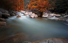 Desktop wallpaper. Nature. ID:67387