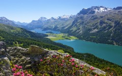 Desktop wallpaper. Nature. ID:67397