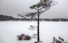 Desktop wallpaper. Nature. ID:67399