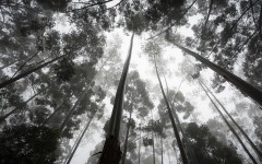 Desktop wallpaper. Nature. ID:67400