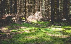 Desktop wallpaper. Nature. ID:67408