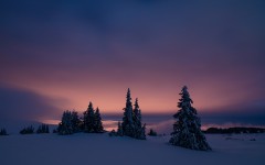 Desktop wallpaper. Nature. ID:67410