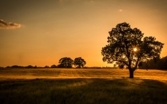 Desktop wallpaper. Nature. ID:67421