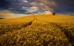 Desktop wallpaper. Nature. ID:67422