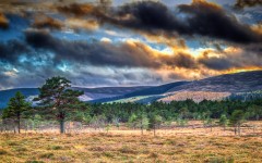 Desktop wallpaper. Nature. ID:67427