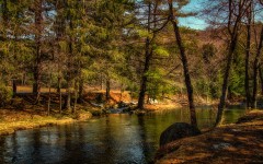 Desktop wallpaper. Nature. ID:67430