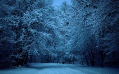 Desktop wallpaper. Nature. ID:67433