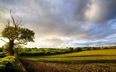 Desktop wallpaper. Nature. ID:67437