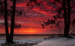Desktop wallpaper. Nature. ID:67440