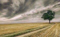 Desktop wallpaper. Nature. ID:67442
