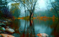 Desktop wallpaper. Nature. ID:67448
