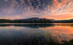 Desktop wallpaper. Nature. ID:67477